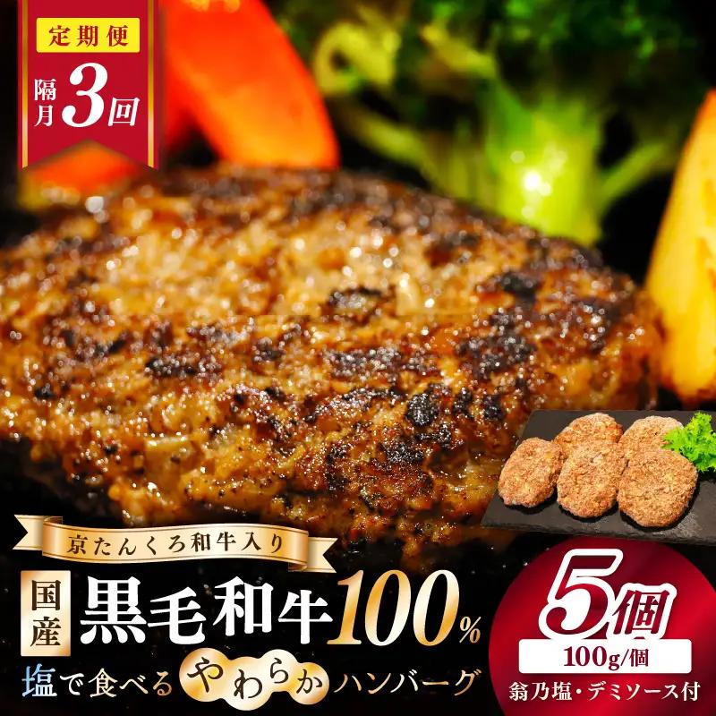 ハンバーグ定期便隔月3回 塩で食べるやわらかハンバーグ ソース付
