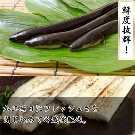 【焼きたてを即日配送】浜名湖うなぎ白焼き140g×5尾(冷蔵便)_うなぎ 鰻 白焼き 浜名湖産 焼きたて 即日配送_【配送不可地域：離島】【1497526】