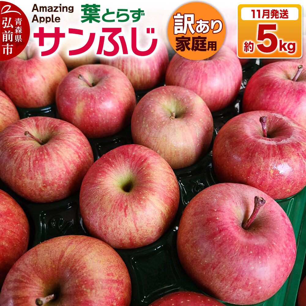 【26年11月下旬発送】りんご 葉とらずサンふじ【訳あり】家庭用 約5kg [りんご サンふじ 葉とらず ふじ 訳あり 家庭用 5kg アップル おいしい 果実 果物 取ら 赤色 美味 葉っぱ 林檎 青森県 弘前市]