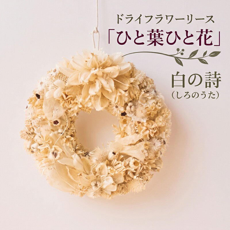 【ふるさと納税】ドライフラワーリース「ひと葉ひと花」白の詩 しろのうた ドライフラワー リース インテリア ナチュラル 花 フラワー ギフト プレゼント