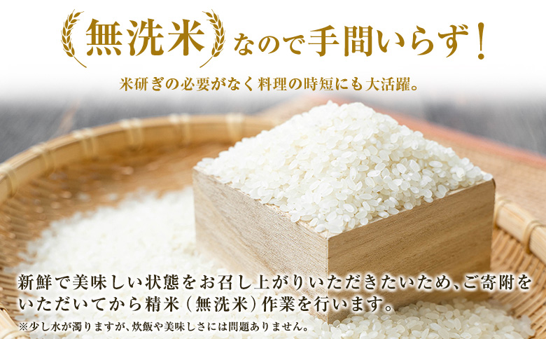 無洗米 ヒノヒカリ 15kg×6回 定期便 宮崎県都城市産 ＜単一原料米＞