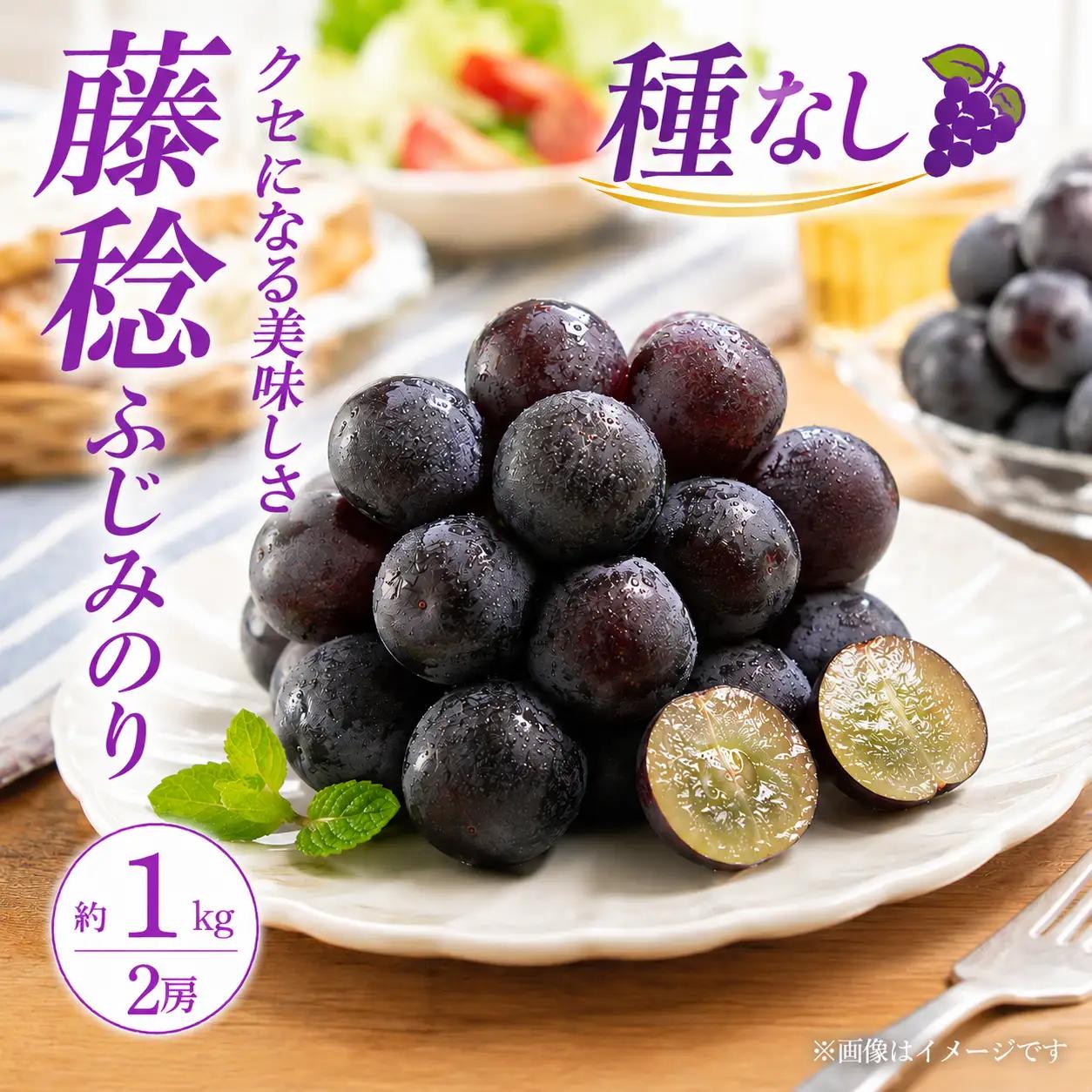 ぶどう ふじみのり 種なし 計約1kg 2房 ぶどう