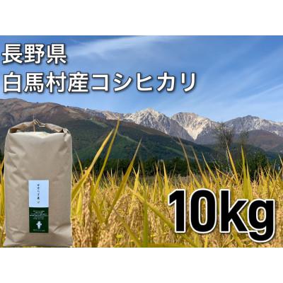 ふるさと納税 白馬村 R6年産白馬産コシヒカリ白米10kg