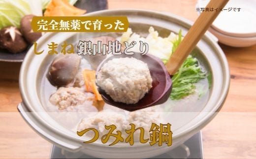 
            完全無薬で育った 銀山地どりの『つみれ鍋』4～5人前
          