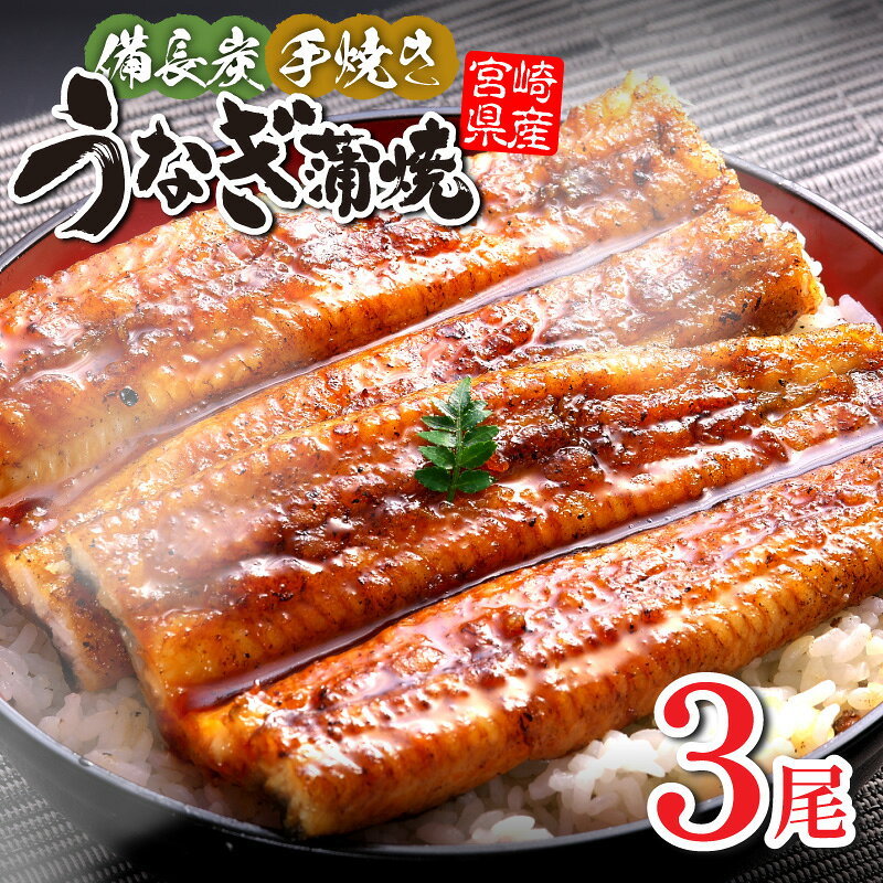【ふるさと納税】 【宮崎県産】 うなぎ 備長炭 手焼き 蒲焼 3尾 450g うなぎの蒲焼 鰻蒲焼 国産 たれ 山椒 宮崎うなぎ 惣菜 和風総菜 贈答 贈り物 ギフト プレゼント グルメ イベント 記念日 お取り寄せ 冷凍 真空パック パック 冬うなぎ 宮崎県 宮崎市 送料無料