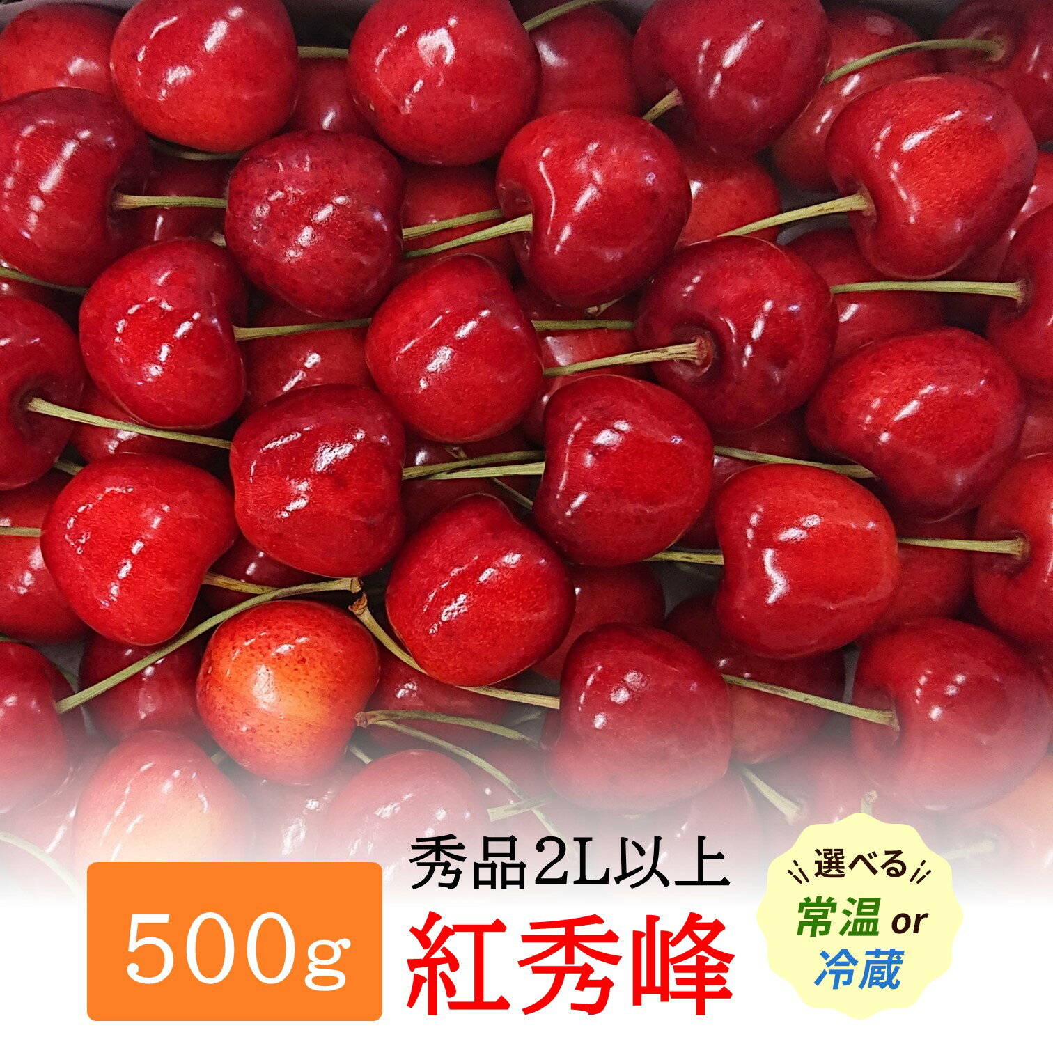 【ふるさと納税】【2025年配送分先行受付】 朝採り 厳選 さくらんぼ 紅秀峰 500g (秀2Lサイズ以上) 2025年6月後半頃より発送 品質日本一と市場評価が高い 秋田県 三関産 [B5-15105]