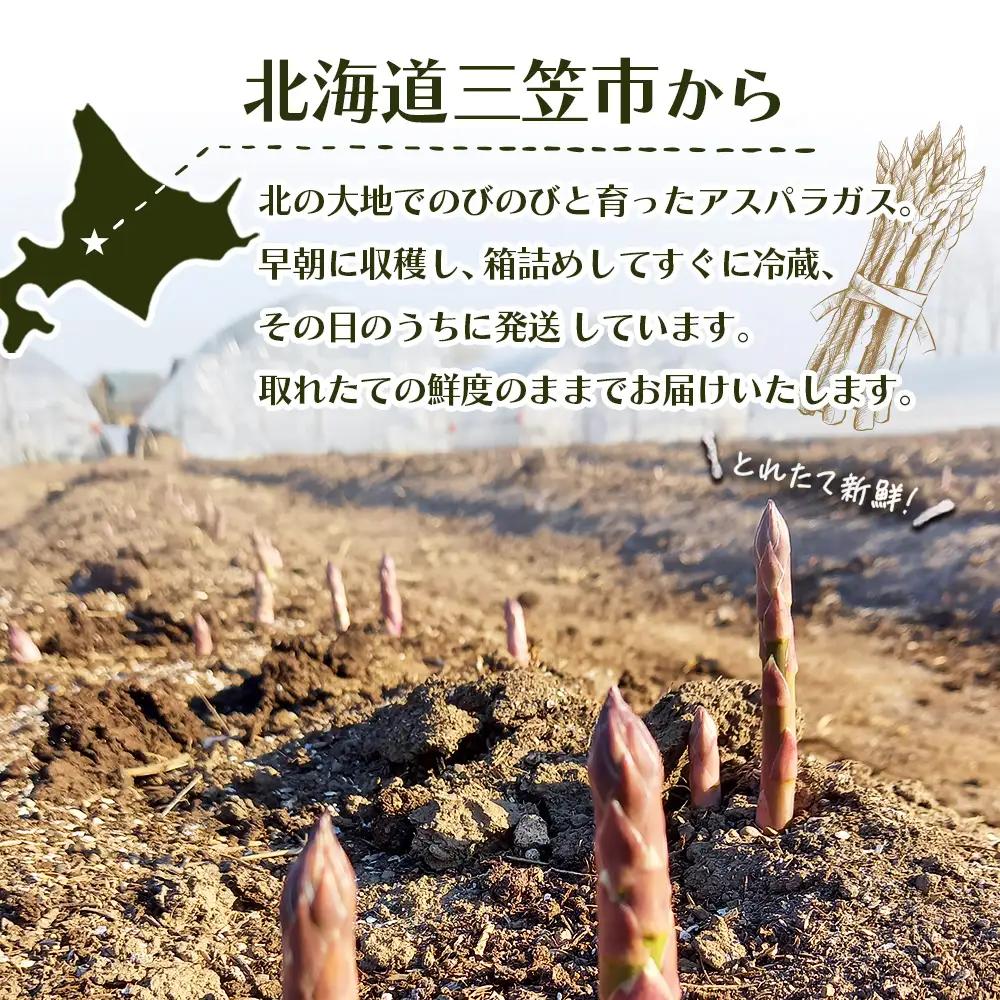 【先行受付】のみやまファームのグリーンアスパラガス（Ｍ～２L以上）1kg【05004】