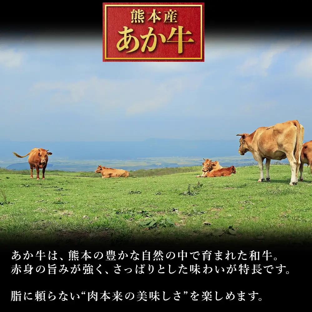 【ふるさと納税】 熊本産 あか牛 焼肉用 500g 肉 牛肉 赤身肉 あか牛焼肉 焼き肉 バーベキュー 冷凍 お取り寄せ 熊本県 水上村