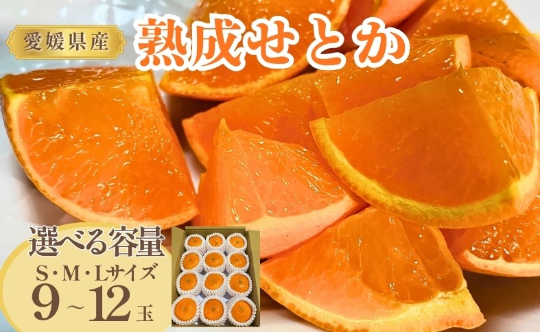 
                  みかん 愛媛 熟成せとか 特別栽培 樹上完熟 貯蔵熟成 【選べる容量】 S・M・Lサイズ 9～12玉 数量限定 先行予約 ＜2026年4月以降順次発送予定＞ 人気 柑橘 フルーツ 国産 愛媛県産 みかんのおと 伊予市
                