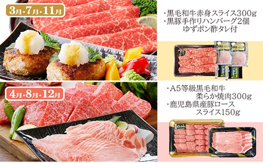 定期便4回配送　肉の定期便 EE-6016【配送不可地域：離島】【1491491】