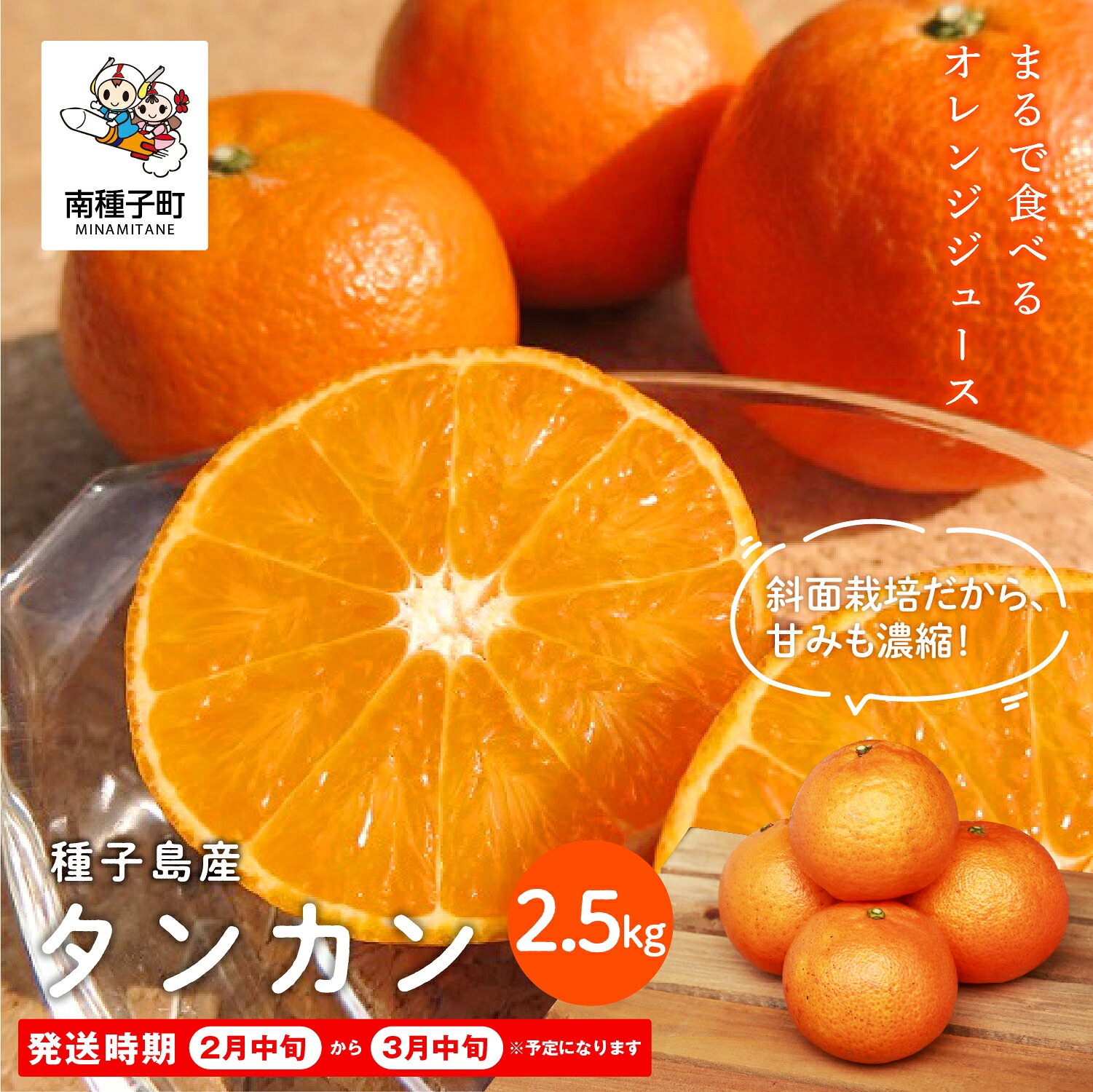【ふるさと納税】《 先行予約 》 種子島産 タンカン 約 2.5kg 《 2027年2月中旬〜3月中旬頃順次発送》タンカン たんかん オレンジ 果物 フルーツ 食品 グルメ お取り寄せ お正月 人気 おすすめ ギフト 返礼品 南種子町 鹿児島 かごしま 【南種子町果樹部会】
