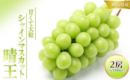 
                  ぶどう 2026年  シャイン マスカット 晴王  2房 （1房550g以上）｜フルーツ 果物 くだもの ぶどう ブドウ シャインマスカット 晴王 2房  国産 岡山県産 食品 人気 おすすめ  送料無料 ギフト 贈り物 贈答品 プレゼント
                