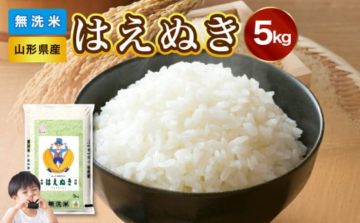 【令和6年産米】新米 山形県産 無洗米 はえぬき 5kg【山形県産 BG精米製法】【2024年産米】【036-001】