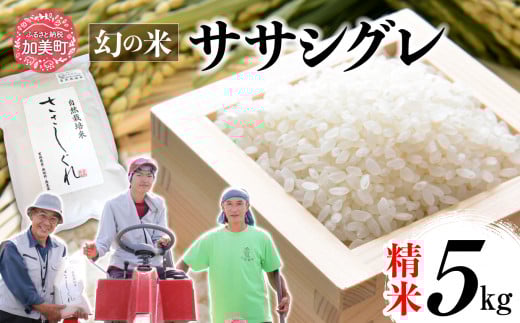 《 希少品種米 》 新米 米 令和6年 ササシグレ ( 栽培期間中農薬・肥料不使用 ) 精米 白米 5kg
