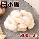 【ふるさと納税】 黒毛和牛 小腸 （ ホルモン ） 300g 入り × 2パック もつ 鹿児島県産 特産品 牛 牛肉 肉 プリプリ ジューシー 焼肉 焼き肉 BBQ 肉汁 旨味 味噌 タレ パーティー ご家族 友人 贈り物 贈りもの 小分け パック 人気 おすすめ 鹿児島市 送料無料 MZ2 MZ5