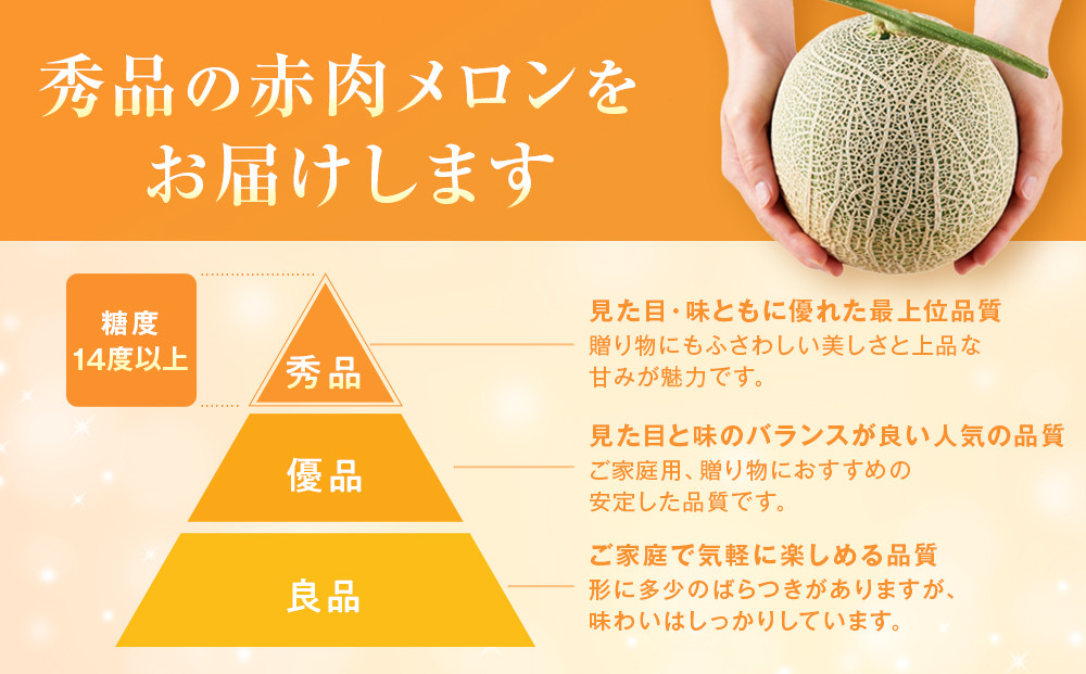 【先行予約】秀品 北海道産赤肉メロン約1.6kg×2玉 (2026年7月中旬から発送開始予定) _05926