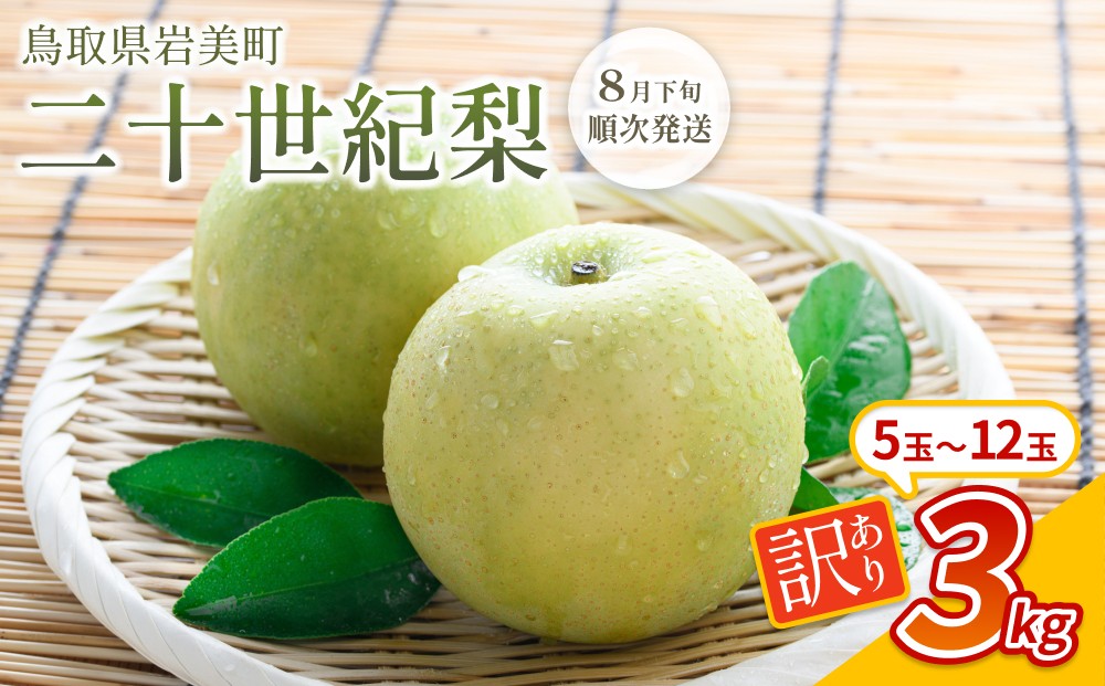 
                  【先行予約】（訳あり）中野農園 梨 ”二十世紀梨” 3kg｜鳥取 岩美 梨 なし ナシ 20世紀梨 青梨 果物 フルーツ ※お届けは2026年8月下旬頃～【41071】
                