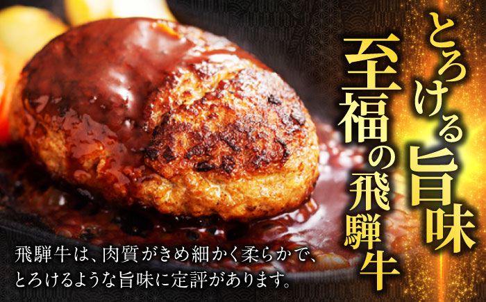 ハンバーグ はんばーぐ 飛騨牛 ひだぎゅう 牛肉