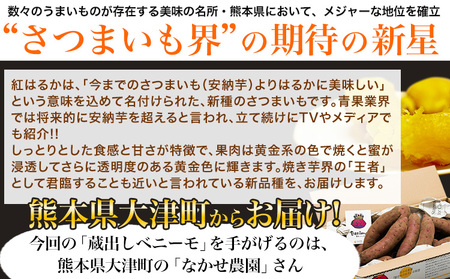 熊本県大津町産 なかせ農園の蔵出しベニーモ 約3.5kg(大中小サイズ不揃い)《1月中旬-3月末頃より出荷予定》 紅はるか なかせ農園