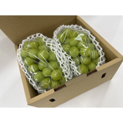 やみつきシャインマスカット 1kg秀【配送不可地域：離島】