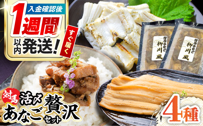 対馬産 あなご 贅沢 セット 《対馬市》【対馬地域商社】九州 長崎 煮あなご 佃煮 アナゴ [WAC002]冷凍 新鮮 あなご 穴子 柳川風 下処理 寿司 あなご重 天ぷら おかず もう1品 おつまみ おにぎり ちらし寿司 海鮮 魚介 長崎 対馬