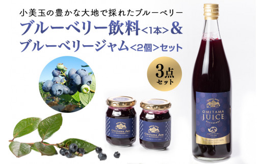 果汁50％ブルーベリー飲料1本＆ブルーべリ－ジャム2個セット ブルーベリー ジュース ジャム ブルーベリージャム ブルーベリージュース フルーツ ビタミンE ドリンク 栄養 ギフト 贈り物 茨城県産 セット 詰め合わせ お祝い 美味しい 9-K
