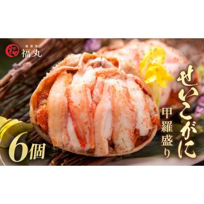ふるさと納税 越前町 【のし付】せいこがに 甲羅盛り × 6パック　福井の網元漁師「福丸」が厳選!