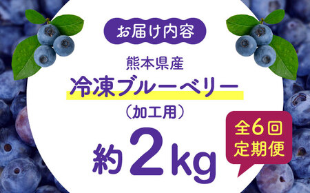 【8月末より順次発送】【全6回定期便】【加工用】冷凍ブルーベリー 2kg【「のん気・元気」百姓家】[YAL030]