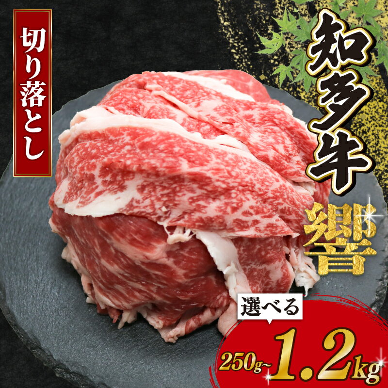 【ふるさと納税】 容量選べる 知多牛 切り落とし 250g〜1.2kg 冷凍 知多牛響 切り落とし 小分け パック 約1kg きりおとし 肉 牛肉 ふるさと納税切り落とし 切落し
