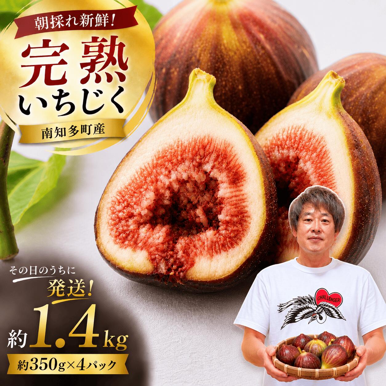 【ふるさと納税】 【先行予約】【2026年8月中旬~出荷】訳ありいちじく 約350g×4パック 計約1.4kg 冷蔵 果物 くだもの デザート 旬 贈答用 ギフト プレゼント おやつ 朝採れ 新鮮 ご褒美 国産 ジャム 人気 愛知県 南知多町 【配送不可地域：北海道 東北 九州 沖縄 離島】