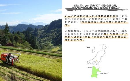 r05-12-1W 令和5年産 わかとち産 魚沼コシヒカリ 特別栽培 棚田米 贈答用1.5kg×3袋  白米 魚沼 米