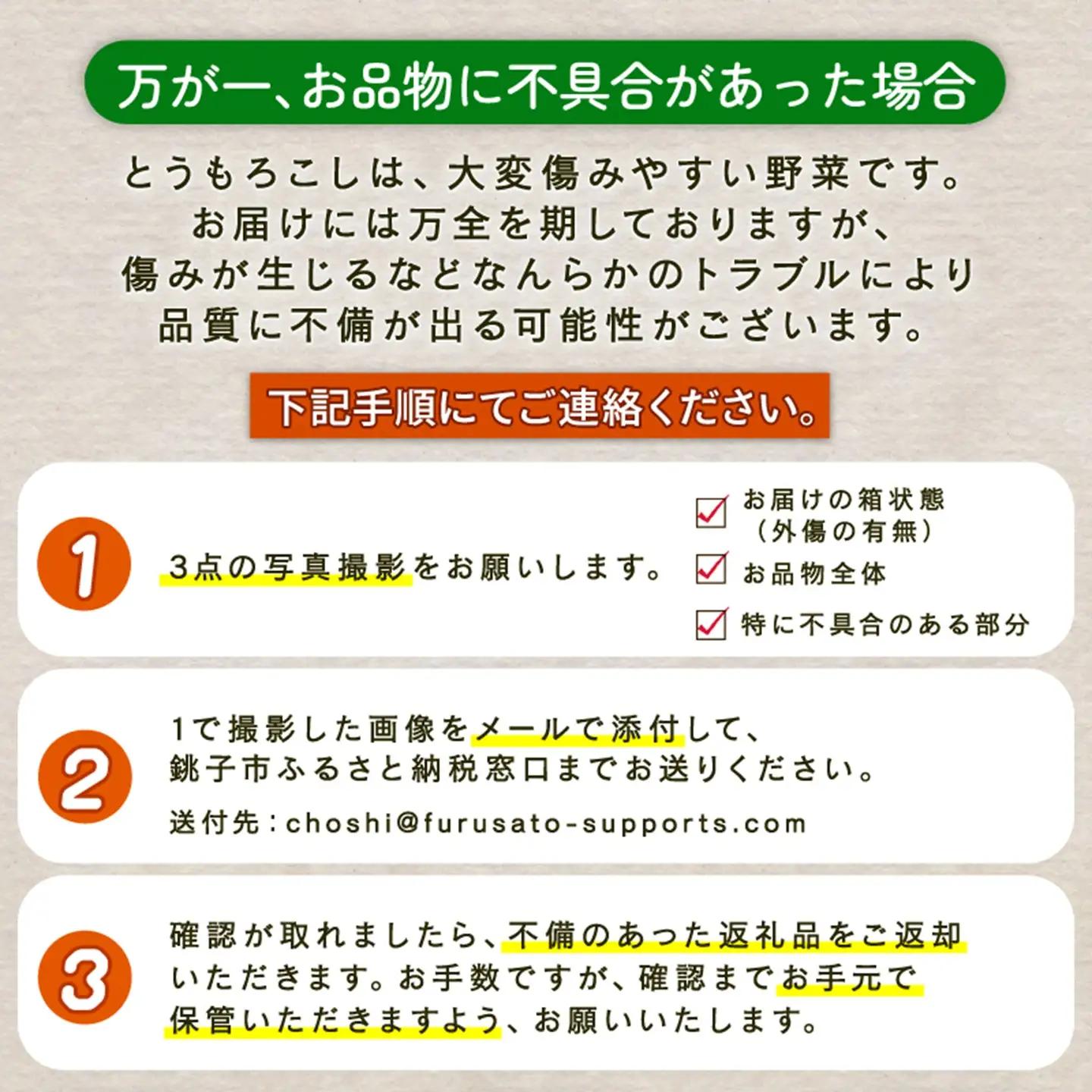  とうもろこし 20本 ゴールドラッシュ 【先行予約】 トウモロコシ