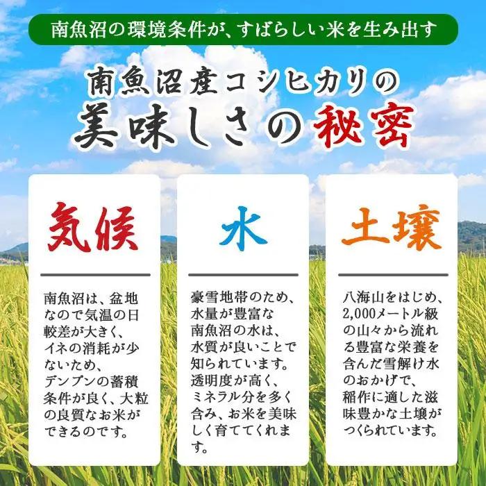 無地熨斗 新潟県 南魚沼産 コシヒカリ こしひかり お米 2kg ×2個 計4kg 精米 魚沼 米 炊き方ガイド付き お中元 お歳暮 gift ギフト プレゼント【銘柄米 ブランド米 精米 こしひかり