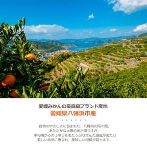 愛媛の人気柑橘品種を贅沢に飲み比べ!みかん寒天ゼリー 5本セット【A25-180】【1606339】