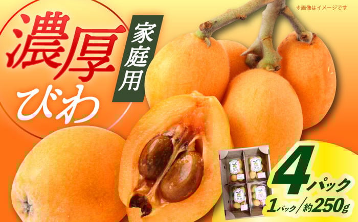 
            【先行予約】【2026年6月発送】長崎県産びわ 計4パック（1パック：約250g） / 枇杷 長崎 季節もの フルーツ 果物 茂木びわ 枇杷 【神川農園】[DBT006]
          