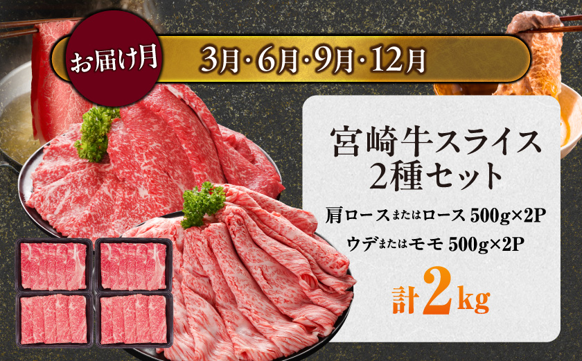 ≪6回連続お届け≫とにかくお肉大好き!宮崎牛と宮崎県産豚定期便L(総重量16.4kg)_T168-6-N201