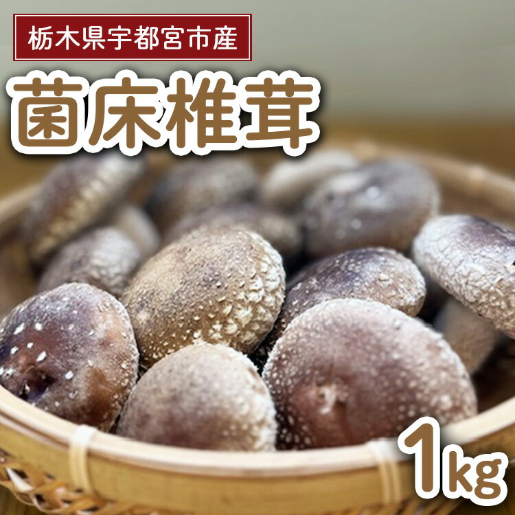 【ふるさと納税】【先行受付】栃木県宇都宮市産　菌床椎茸　1kg ※2025年11月以降順次発送予定