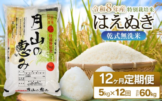【令和8年産先行予約】 12ヶ月定期便　特別栽培米 はえぬき 乾式無洗米 5kg (5kg×1袋) ×12回　毎月1回中旬発送　山形県鶴岡市産　米工房月山