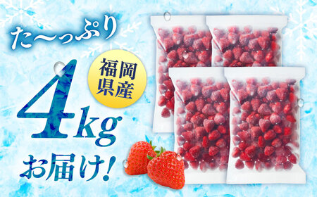 訳あり品【濃厚な味わい！】冷凍いちご「博多あまおう」4kg（1kg×4）（加工用）  桂川町/株式会社やまやコミュニケーションズ[ADAN062]