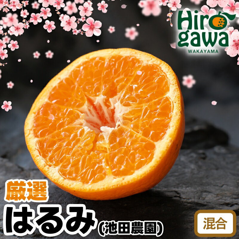 【ふるさと納税】 はるみ 厳選 光センサー / デコポン 姉妹品種 甘い 高級 和歌山 有田 柑橘 6000円 10000円 5kg 10kg ※2月上旬〜3月下旬に順次発送 ※北海道・沖縄・離島への配送不可 //dekopon