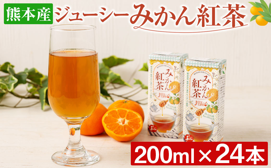 
            ジューシーみかん紅茶  200ml × 24本 合計4800ml 紙パック みかん ミカン 蜜柑 温州みかん 果汁 紅茶 飲料 常温
          