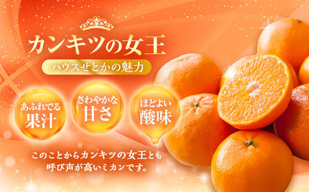 【期間限定！～12月31日まで寄附額改定中】ハウスせとか 3kg 8～15玉 化粧箱セット 【2026年2月下旬-3月下旬迄発送予定】 ／ フルーツ 果物 くだもの ミカン みかん 野中果樹園 オンラ