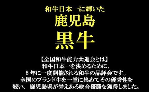 №3036-1 鹿児島県産 黒毛和牛 サーロインステーキ