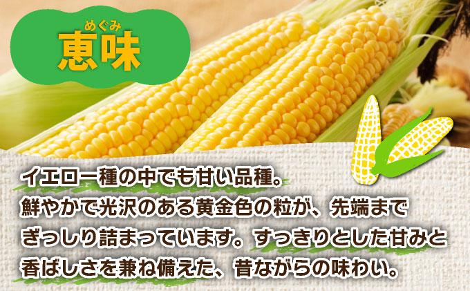 ＜先行予約＞北海道産 とうもろこし 恵味 Lサイズ 10本【55250484】トウモロコシ とうきび コーン スイートコーン 国産 野菜 人気 ふじいファーム