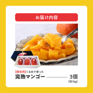 【2026年6月以降お届け】くるめで育った完熟マンゴー（3個：約1kg）_先行予約 贈答用 トロ～ッと口のなかでとろける くるめで育った 完熟マンゴー 3個 約 1kg 甘い 子供も安心 フルーツ  