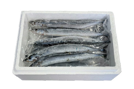 【北海道根室産】冷凍さんま40尾 C-30002