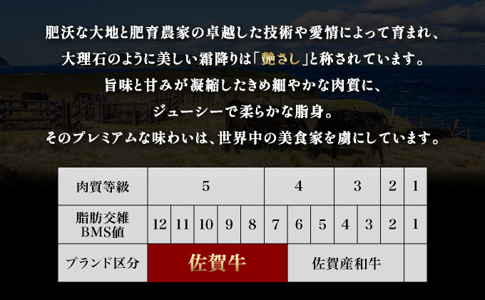佐賀牛赤身お一人様定期便Ｂ♪ヒレステーキ200g・すき焼きしゃぶしゃぶ用250g・焼き肉250g(全3回定期便)毎月お届け♪