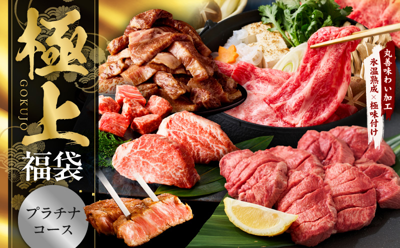 極上福袋 プラチナコース 5種 4kg以上【牛肉 ステーキ 牛タン 焼肉 しゃぶしゃぶ すき焼き 氷温熟成×極味付け 大阪 泉佐野 大阪府 泉佐野市】