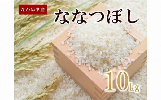 
            【配送月選択可能】令和7年産 ながぬま産ななつぼし (10kg)
          