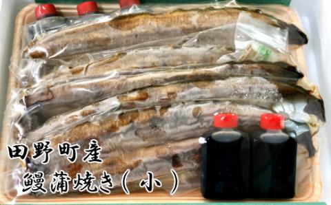 【四国一小さなまち】 田野町産 うなぎ蒲焼き ５本（小）
